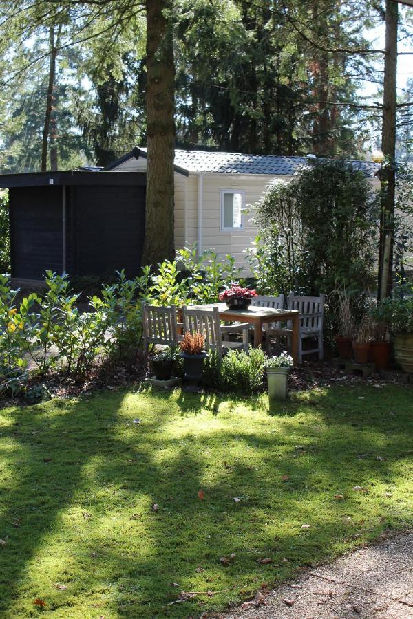 Sfeervol Vakantiehuisje In Bosrijke Omgeving วอร์เดน ภายนอก รูปภาพ