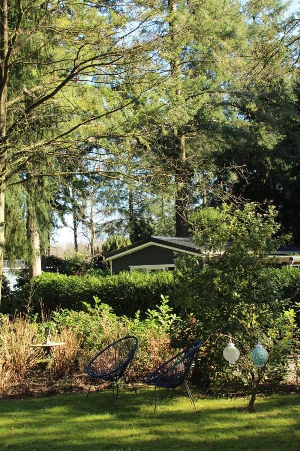 Sfeervol Vakantiehuisje In Bosrijke Omgeving วอร์เดน ภายนอก รูปภาพ